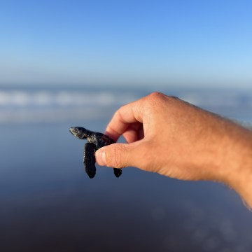 La Libertad, El Salvador img_2007-1.jpg